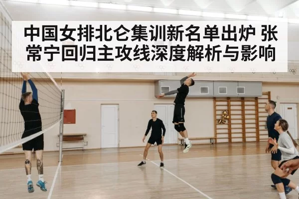 volleyball players in action